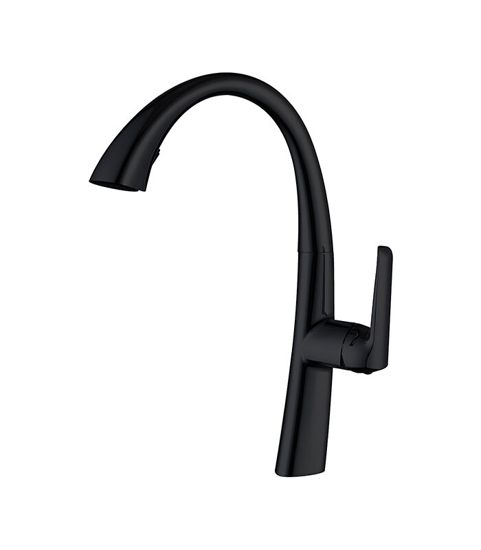 Energy matte black mixer installed in contemporary Syrian bathroom