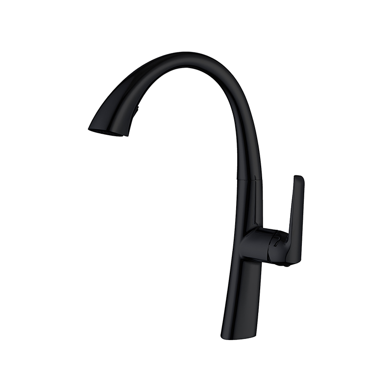 Energy matte black mixer installed in contemporary Syrian bathroom